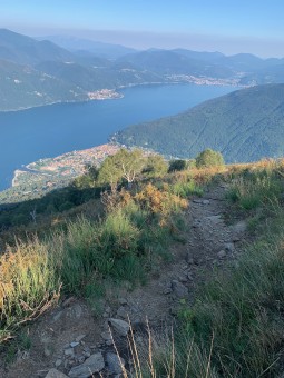 IMG_2551