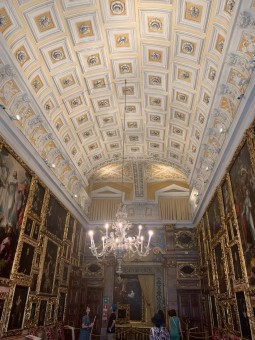 IMG_2582