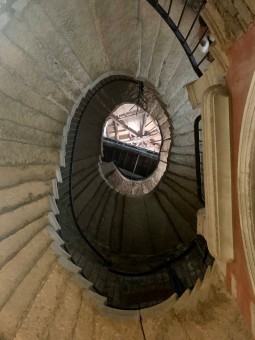 IMG_2594